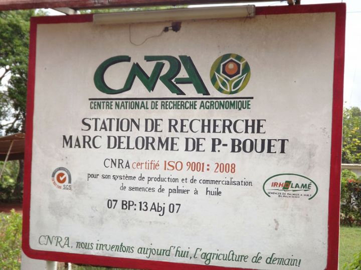 Côte d’Ivoire: 3,1 milliards FCFA pour la restructuration du Centre national de recherche agronomique